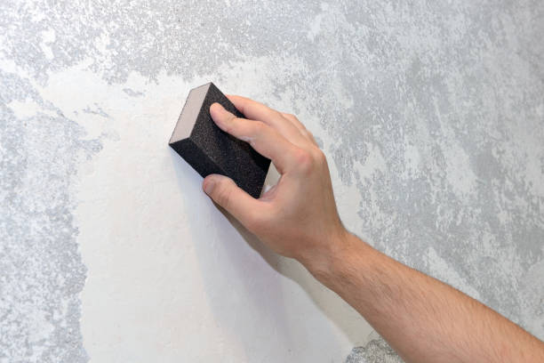 Best Mold Odor Removal Services  in Center Line, MI