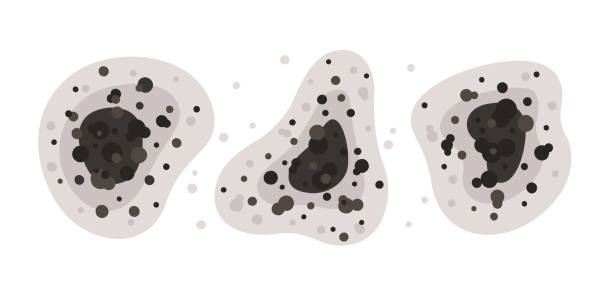 Best Air Quality Testing for Mold Spores  in Center Line, MI