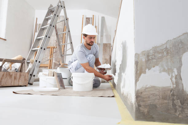 Best Attic Mold Removal  in Center Line, MI
