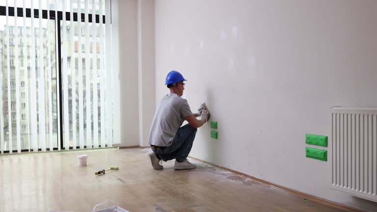 Best Post-Construction Mold Inspection  in Center Line, MI