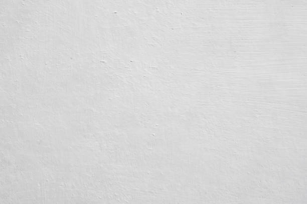Best Black Mold Removal  in Center Line, MI