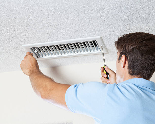 Best Post-Construction Mold Inspection  in Center Line, MI
