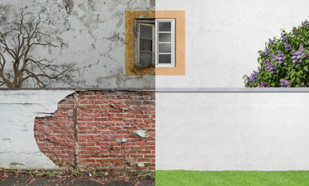 Best Mold Documentation for Insurance Claims  in Center Line, MI