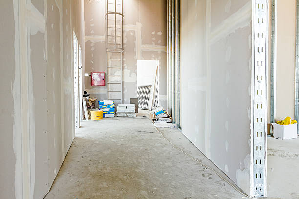 Best Water Damage & Mold Remediation  in Center Line, MI